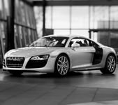 pic for audi r8 coupe 